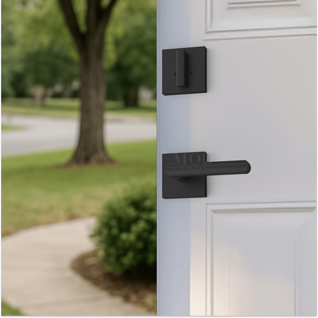 Modern Front Door Lock Set