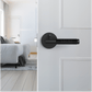 Carrington Modern Door Handle
