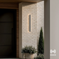 Haylen (Light Sensor)