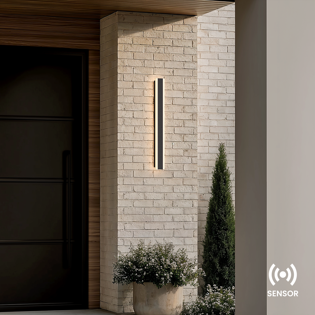 Haylen (Light Sensor)