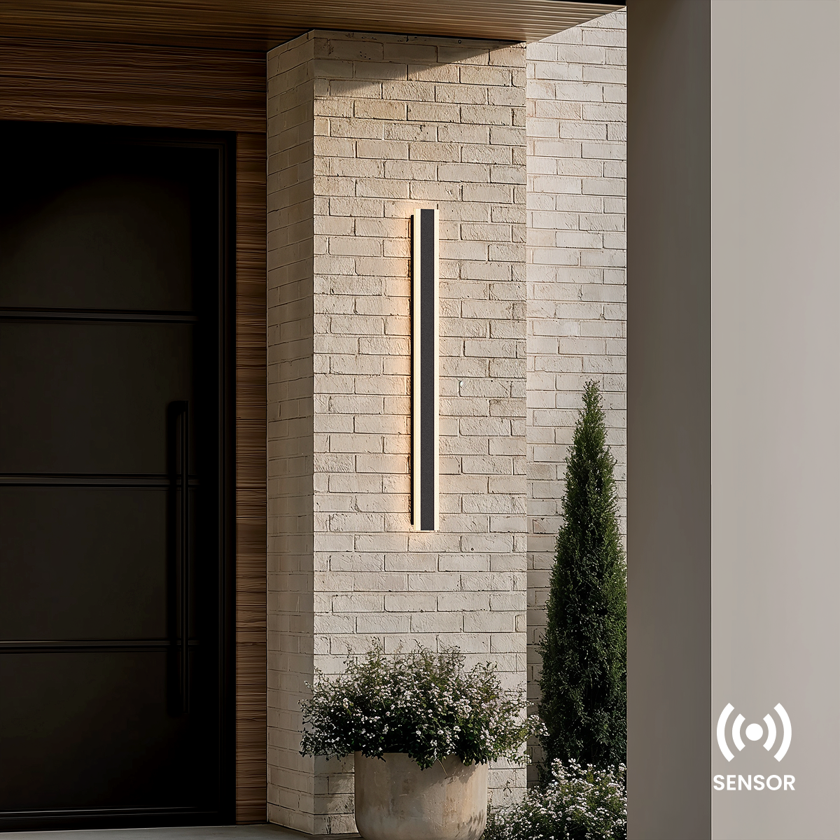 Haylen (Light Sensor)