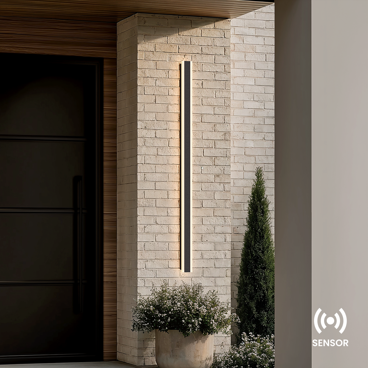 Haylen (Light Sensor)